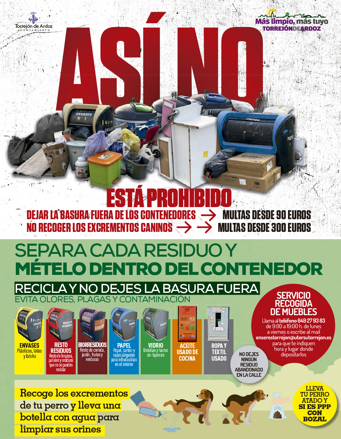 Campaña de limpieza Cartel Limpieza web