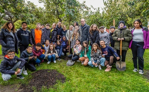 arbol constitucion 2023