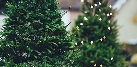 arbol navidad
