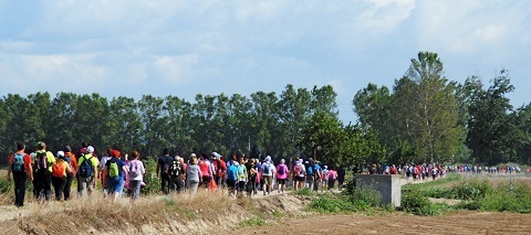 camino cervantes torrejon de ardoz