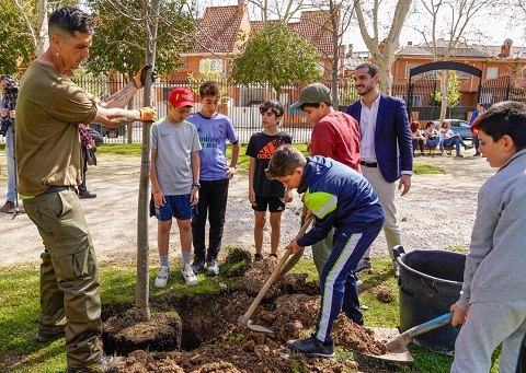 dia arbol 2024