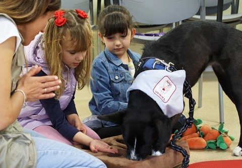 hospital terapia animales autismo