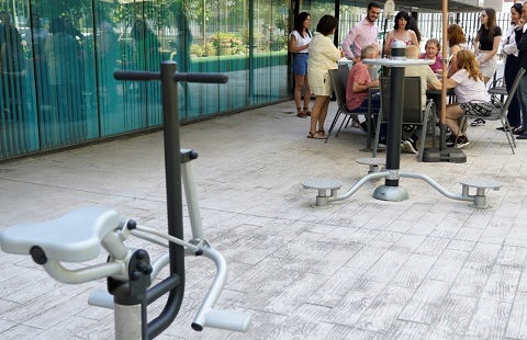 juegos biosaludables afadacs