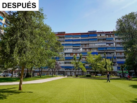 parque estrellas 1