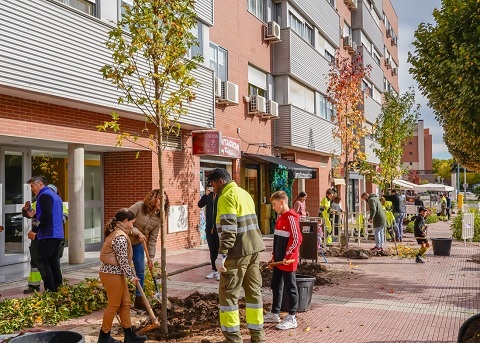 plantacion arboles cambio climatico 2024