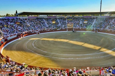 plaza toros torrejon de ardoz 2024