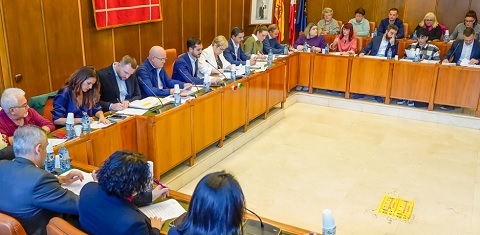 pleno torrejon recurso
