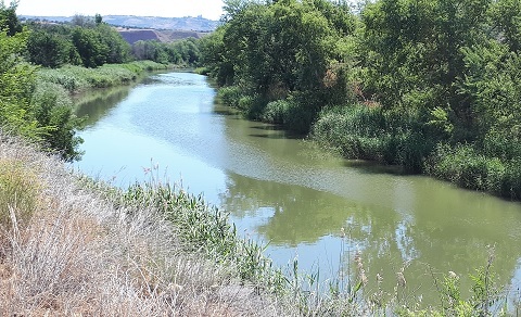 rio henares torrejon de ardoz