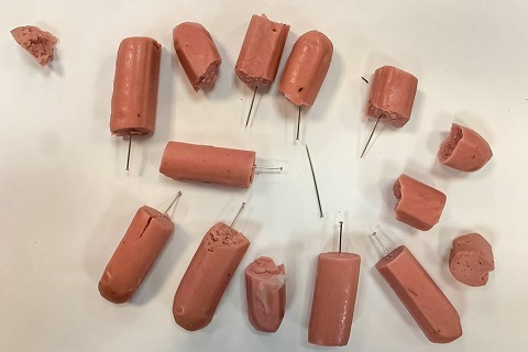 salchichas alfileres perros
